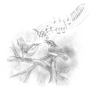 Duetting by Abby McBride, Image 15.