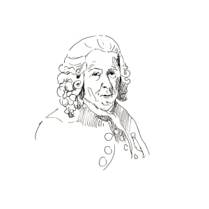 Carl von Linné by Abby McBride