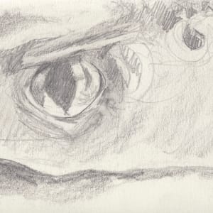 Dogfish Eye by Abby McBride