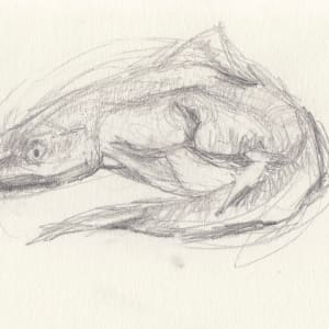 Dogfish by Abby McBride