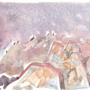 Cormorant colony in fog by Abby McBride