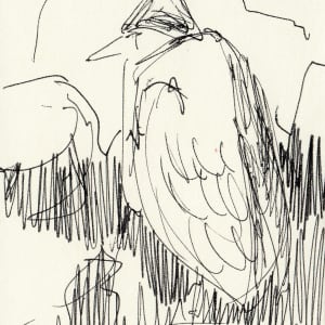 Allen's Pond heron by Abby McBride