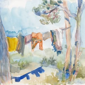 Golden Bay laundry line by Abby McBride, Image 2.