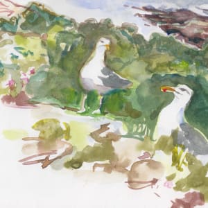 Herring gullscape by Abby McBride
