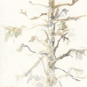 Snag with Usnea by Abby McBride