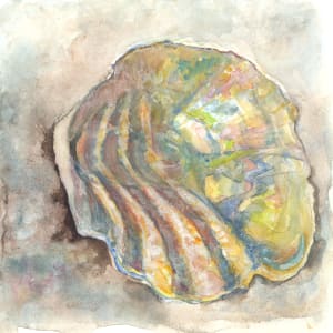 Jingle shell by Abby McBride