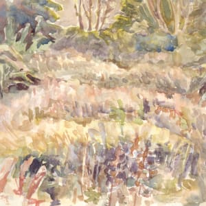 Lake Okareka marsh by Abby McBride