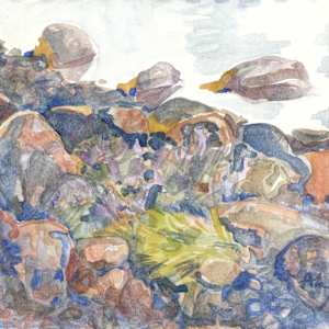 Machiasport rocks by Abby McBride, Image 2.