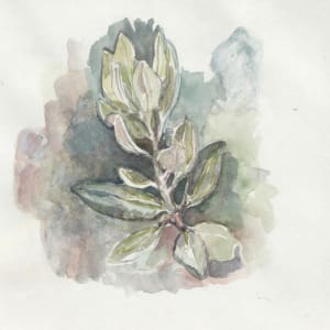 Pōhutukawa by Abby McBride