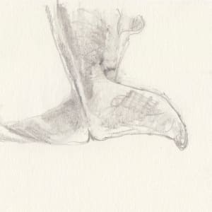 Porpoise tail by Abby McBride