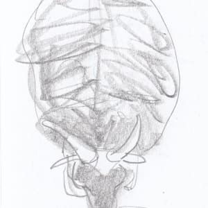 Rammy by Abby McBride