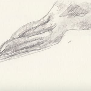 Seal feet by Abby McBride