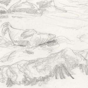 Seal sleeping by Abby McBride
