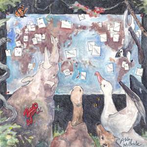 Biodiversity confusion by Abby McBride