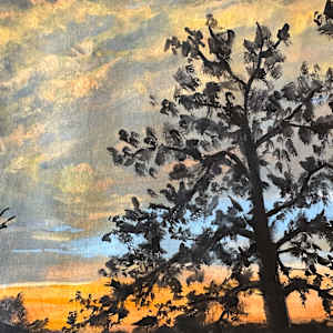 Barbarossa Pine, 2024 by Hannah Rosenberg