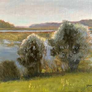 Afternoon Stillness by Sherry Mason