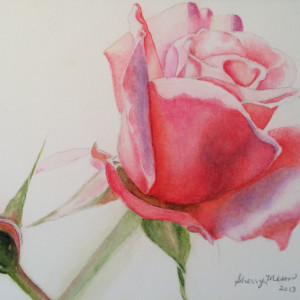 Redoute Rose Study by Sherry Mason