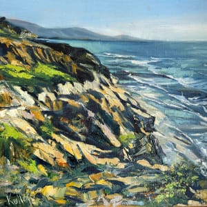 Torrey Pines Coast by Anne Kullaf