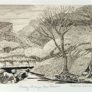 Rocky Arroyo, NM by Roderick Mead