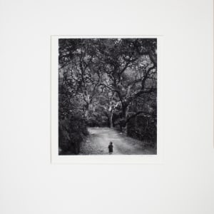 Child on Forest Road by Wynn Bullock