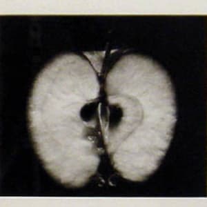 Half an Apple by Wynn Bullock