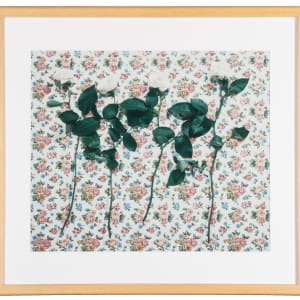 Rose Wallpaper by Betty Hahn