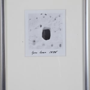 Untitled by Lynn Lown