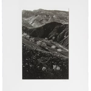 Untitled (#146 , Death Valley , CA) by Edward J. Ross II