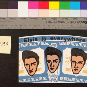 Omnipresent Elvis by Esther K Smith Dikko Faust