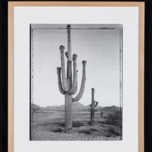 Longest Day: Last Light of the Solstice, Carefree, AZ, 6/21/84 by Mark Klett 