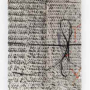 Hidden Agenda by Meryl Brater