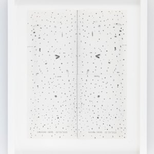 Imagined Germs/Actual Germs 3/25/2020 by Lenka Clayton