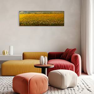 A Thousand Ways Forward by Heather Philp 