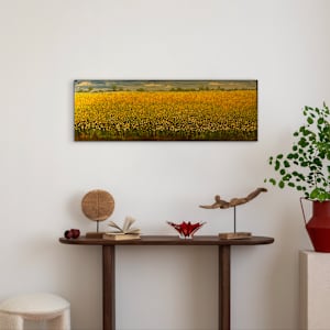 A Thousand Ways Forward by Heather Philp 