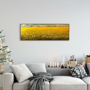 A Thousand Ways Forward by Heather Philp