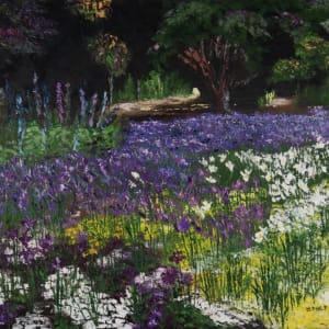 Iris Beds by Heather Philp
