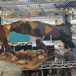Chupa by Larry Alexis the junkart dog