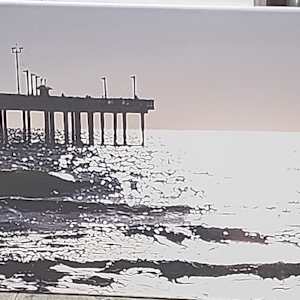 Sunrise Silhouette by Larry Alexis the junkart dog
