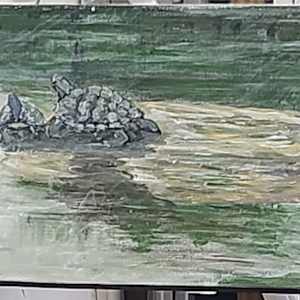 Turtles by Larry Alexis the junkart dog