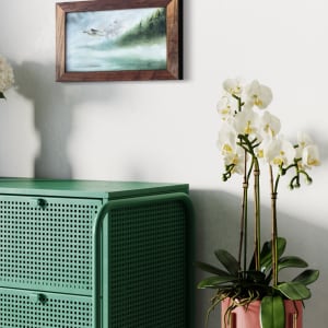 Through The Fog by Sarah Graves 