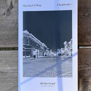 All the Grief by Alice Eckles
