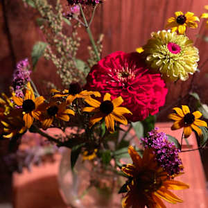 Still life photo batch 1 by Alice Eckles  Image: 23