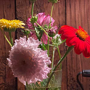 Still life photo batch 1 by Alice Eckles  Image: 9