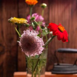 Still life photo batch 1 by Alice Eckles  Image: 10