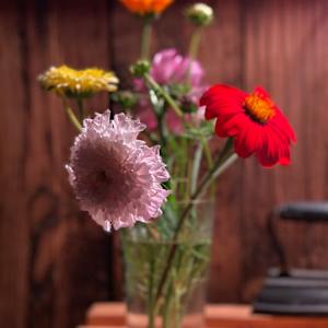 Still life photo batch 1 by Alice Eckles  Image: 2
