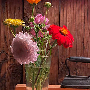 Still life photo batch 1 by Alice Eckles  Image: 7