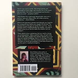 A Phrase Book for Spiritual Emergencies by Alice Eckles  Image: Back cover