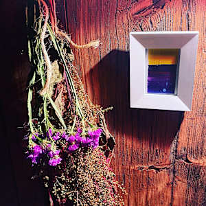 Still life photo batch 1 by Alice Eckles  Image: 17