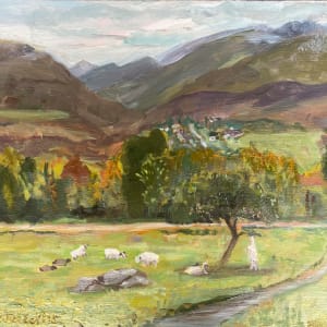Sheep in the valley