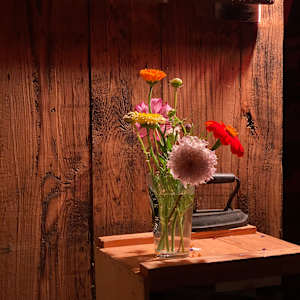 Still life photo batch 1 by Alice Eckles  Image: 5